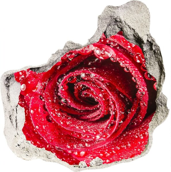 3d lyuk fal dekoráció Vízcseppek egy rózsa
