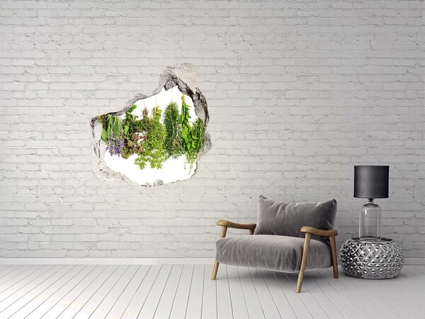 3d lyuk fal dekoráció Herbs egy húr