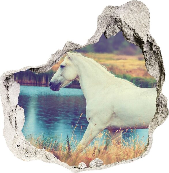 3d lyuk fal dekoráció White horse-tó