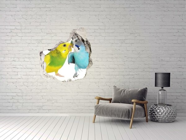 3d lyuk fal dekoráció Budgies