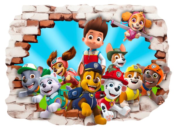 Falmatrica "PAW Patrol" 80x60cm