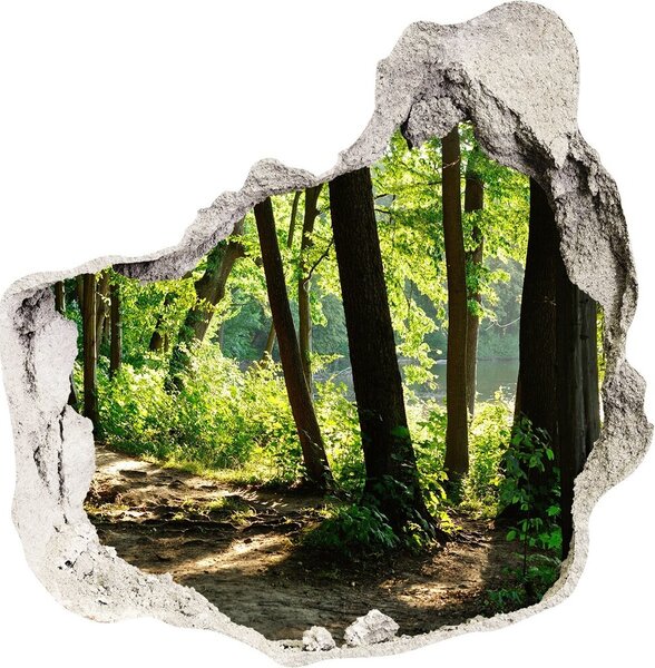3d fali matrica lyuk a falban Az útvonal a réten