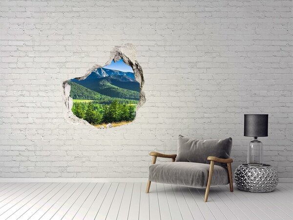 3d fali matrica lyuk a falban A hegy a tátrában