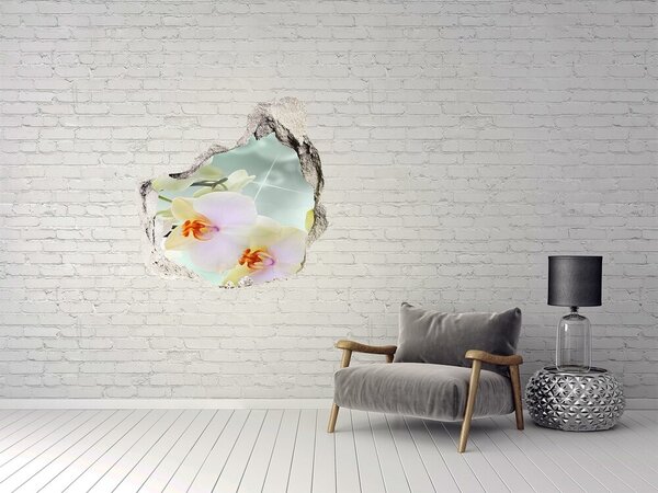 3d fali matrica lyuk a falban Fehér orchidea