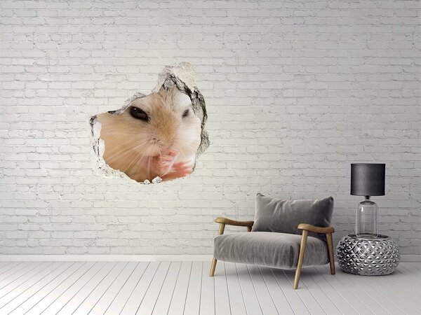 3d fali matrica lyuk a falban Hörcsög