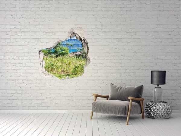 3d fali matrica lyuk a falban Malawi-tó
