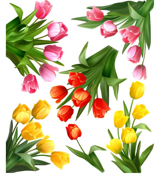 PIPPER. Falmatrica "Tulipánok"