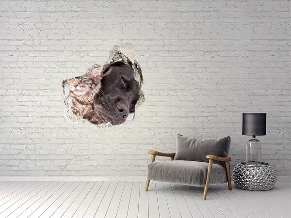3d fali matrica lyuk a falban Macskák és kutyák
