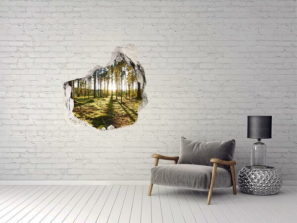 3d fali matrica lyuk a falban A hegyek tetején