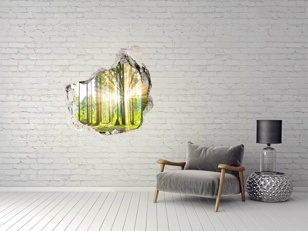 3d fali matrica lyuk a falban Cica pulóver