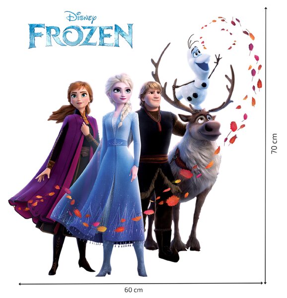 Falmatrica "Frozen 2" 60x70cm