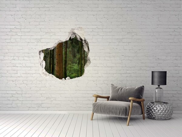 3d fali matrica lyuk a falban Piros bicikli