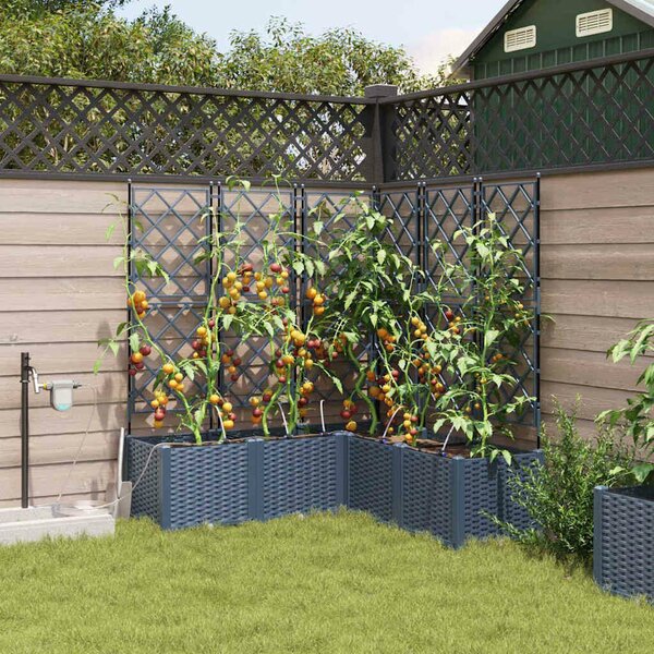VidaXL Kerti cserép 5 db Szürke 120 x 120 x 142 cm PP