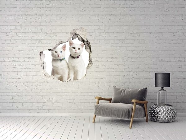 3d fali matrica lyuk a falban Domb skócia