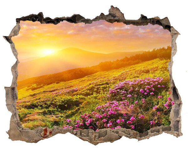 Fali matrica lyuk a falban Sunset hegy