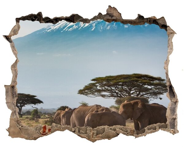Fali matrica lyuk a falban Elefántok kilimandzsáró
