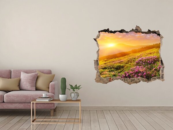 Fali matrica lyuk a falban Sunset hegy