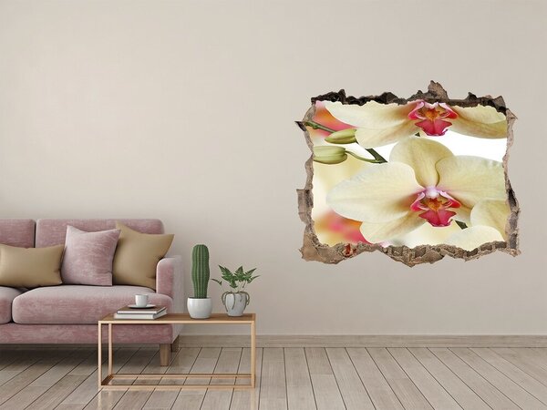 Fali matrica lyuk a falban Orchidea