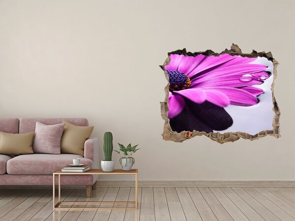 Fali matrica lyuk a falban Gerbera