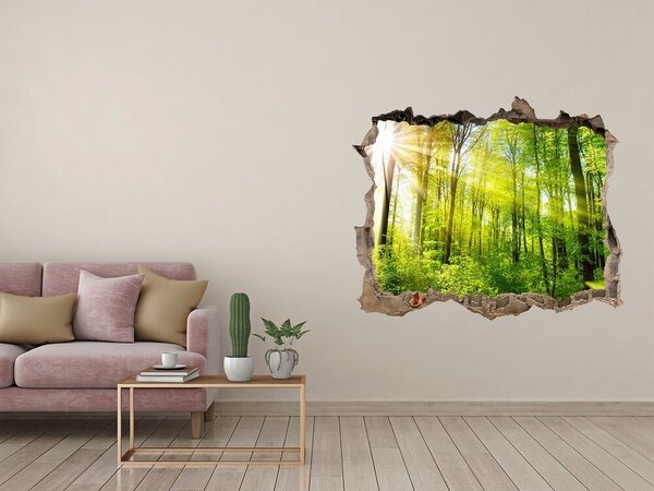Fali matrica lyuk a falban Forest a nap