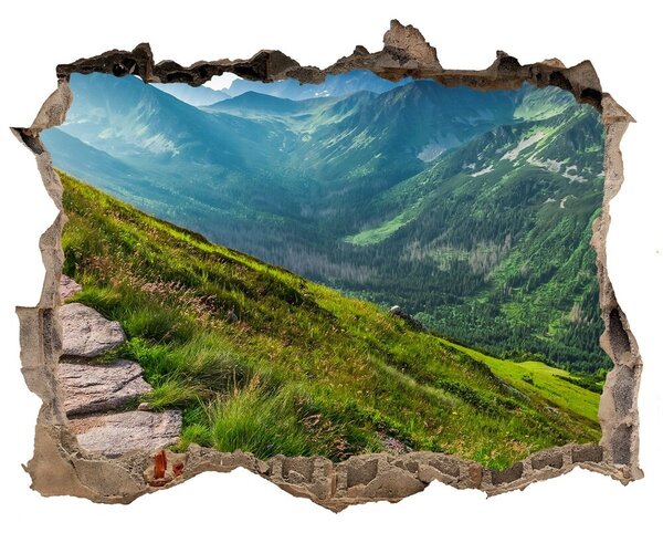 Fali matrica lyuk a falban Path tátrában