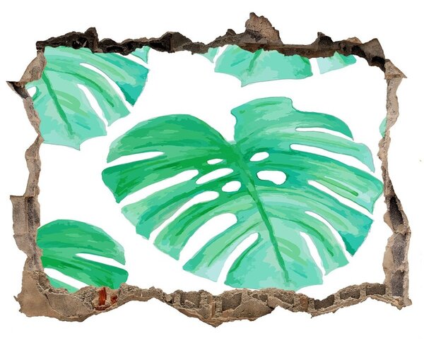 Fali matrica lyuk a falban Monstera