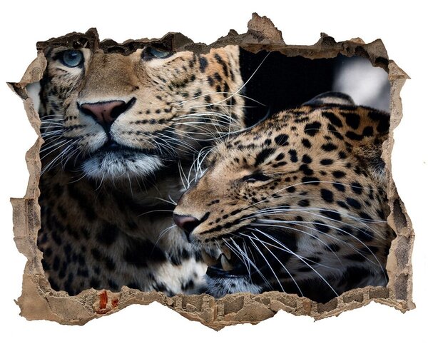 Fali matrica lyuk a falban Két leopárd
