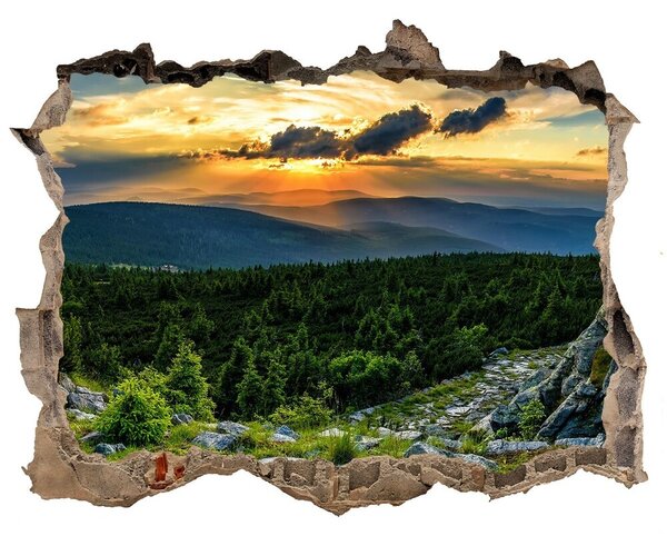 Fali matrica lyuk a falban Hegyi panoráma