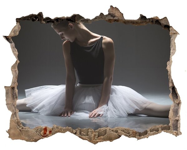 Fali matrica lyuk a falban Balerina