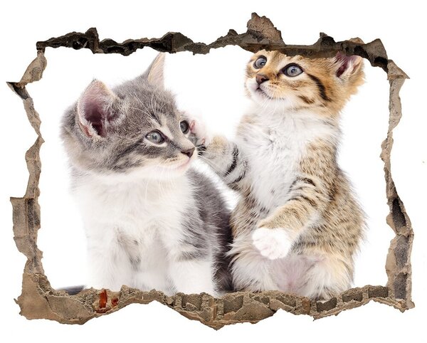 Fali matrica lyuk a falban Két kis macska