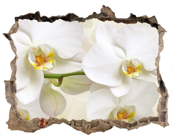 Lyuk 3d fali matrica Orchidea