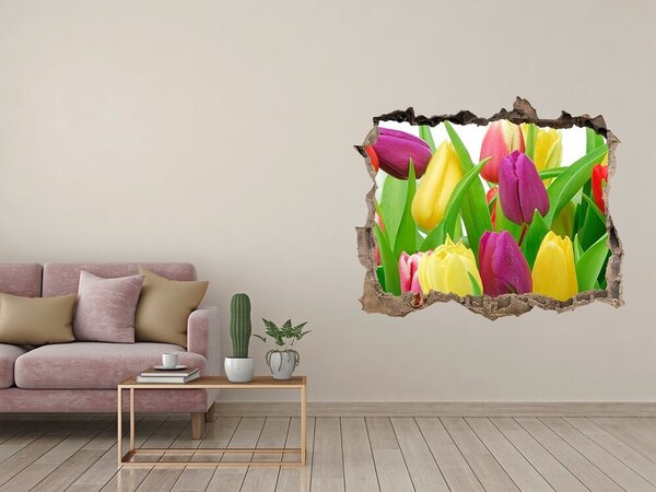 Lyuk 3d fali matrica Színes tulipán