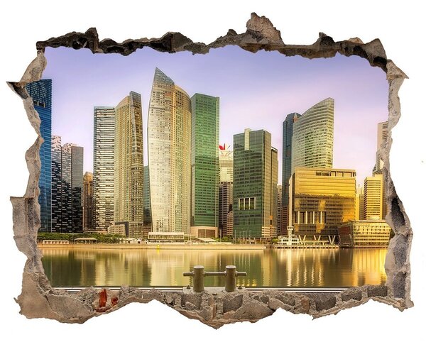 Lyuk 3d fali matrica Singapore