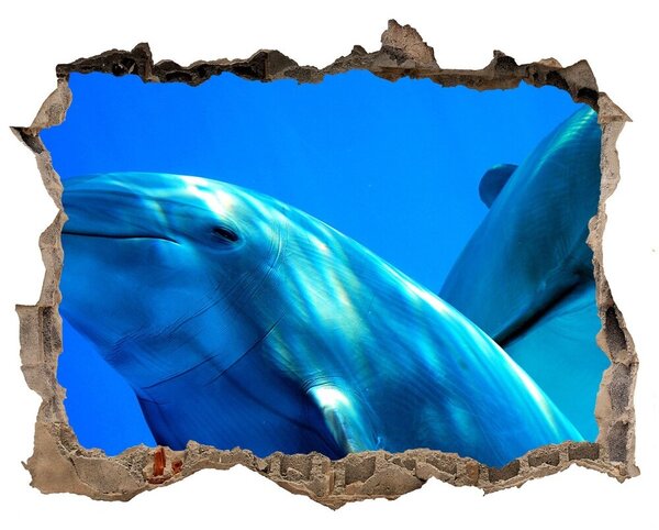 Lyuk 3d fali matrica Két delfin