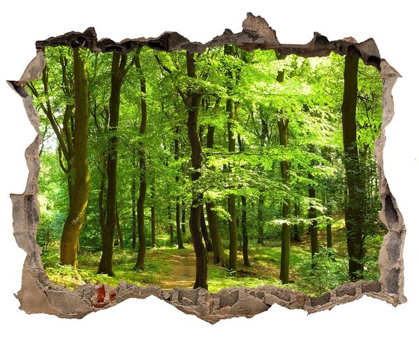 Lyuk 3d fali matrica Erdei pálya