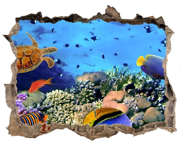 Lyuk 3d fali matrica Korallzátony