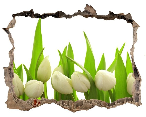 Lyuk 3d fali matrica Fehér tulipán
