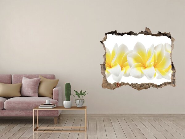 Lyuk 3d fali matrica Plumeria
