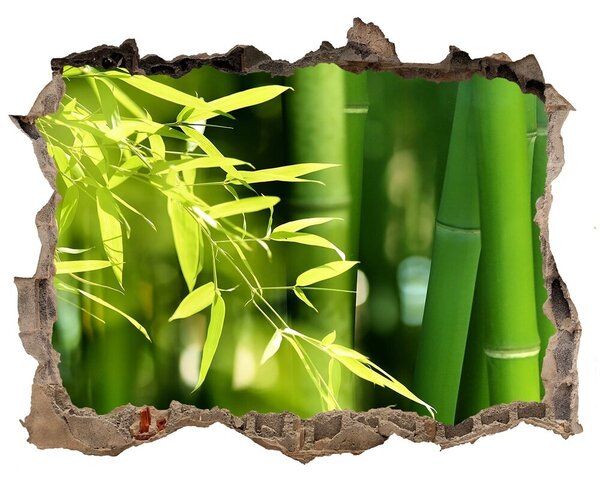 3d-s lyukat fali matrica Bambusz