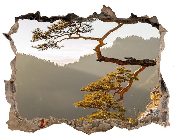 3d-s lyukat fali matrica Pieniny sokolica