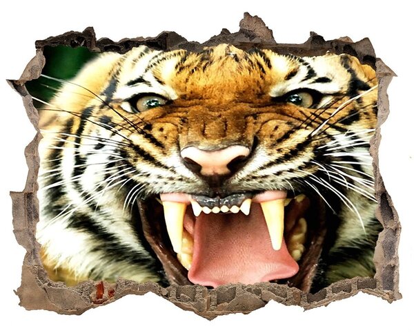 3d-s lyukat fali matrica Ordító tigris