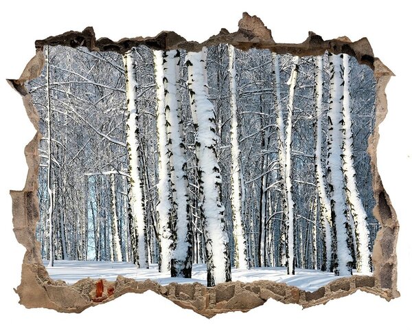 3d-s lyukat fali matrica Erdőben télen
