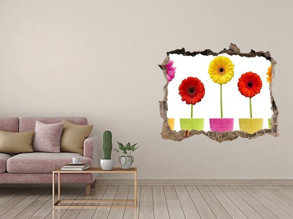 3d-s lyukat fali matrica Színes gerbera