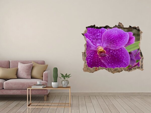3d-s lyukat fali matrica Orchidea