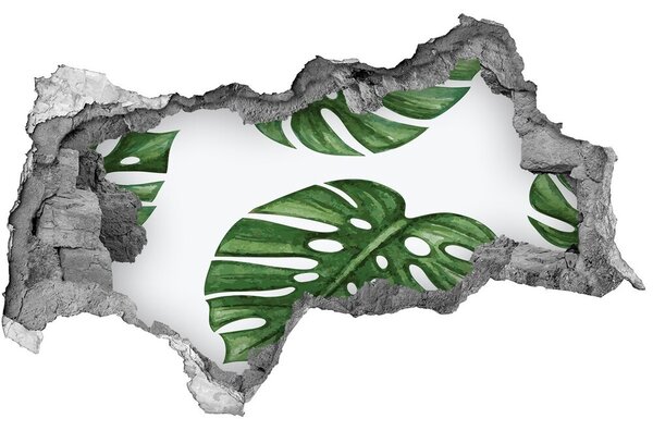 Fali matrica lyuk a falban Monstera