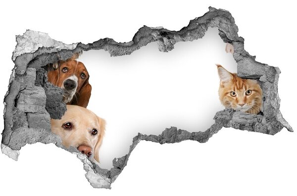 Fali matrica lyuk a falban Kutyák és macskák