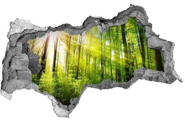 Fali matrica lyuk a falban Forest a nap