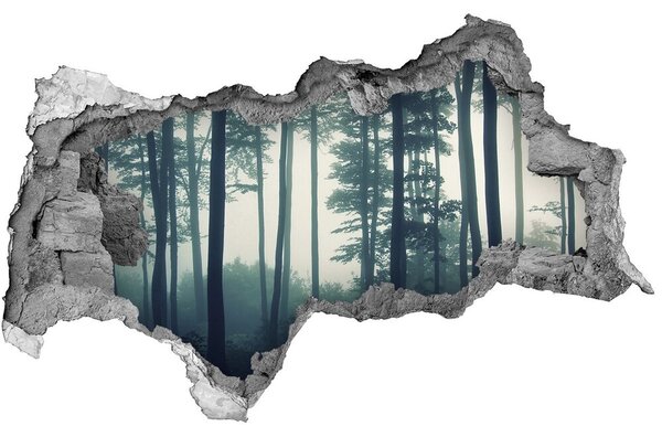 Fali matrica lyuk a falban Forest a ködben