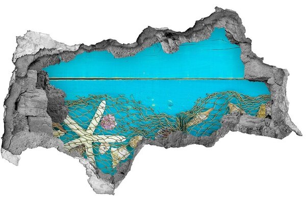 Fali matrica lyuk a falban Starfish és kagylók