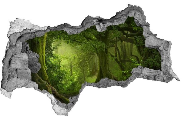 3d fali matrica lyuk a falban Trópusi dzsungel